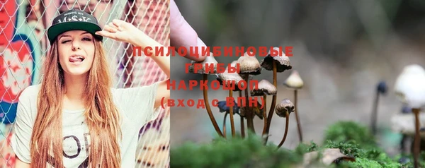 прущие грибы Мегион