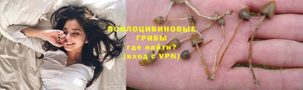 Альфа ПВП Магас
