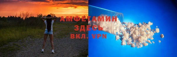 прущие грибы Мегион